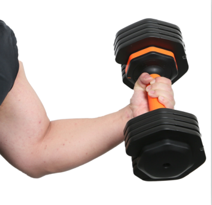 Haltere de peso ajustável: Fitness Companion